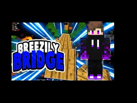 brizzly montage (sky wars)